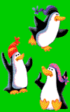 The mad penguins